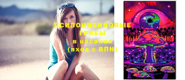 крисы Вязьма