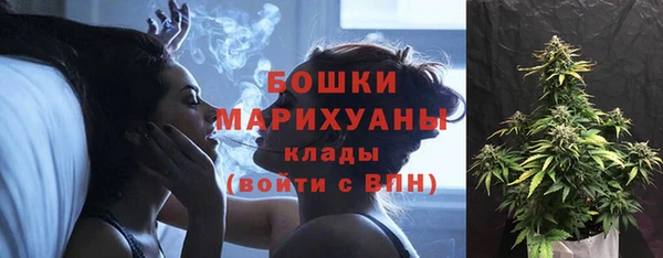 тгк Вяземский