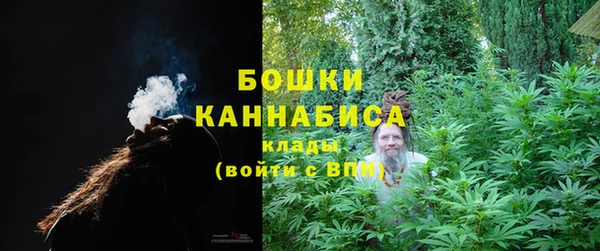 крисы Вязьма