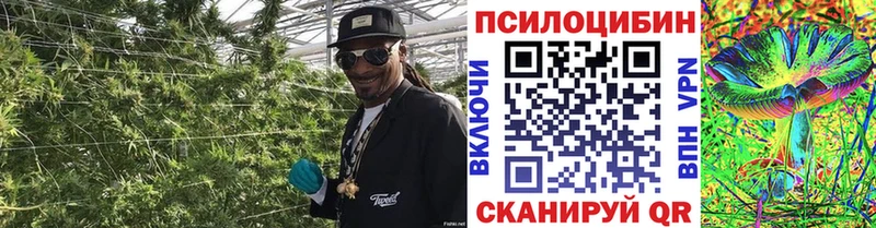 Галлюциногенные грибы GOLDEN TEACHER  omg как зайти  Заозёрный 